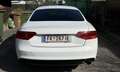 Audi A5 Coupé 3.0 TDI quattro – S line³ – Top gepfle Weiß - thumbnail 3