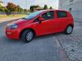 Fiat Punto 5p 1.2 Street E6 - thumbnail 15