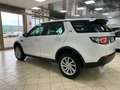 Land Rover Discovery Sport Discovery Sport I 2015 2.0 td4 Pure Business150cv Wit - thumbnail 8
