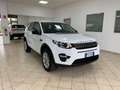 Land Rover Discovery Sport Discovery Sport I 2015 2.0 td4 Pure Business150cv Wit - thumbnail 3