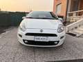 Fiat Punto 3p 1.2 Street E6 Blanco - thumbnail 8