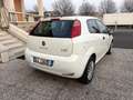 Fiat Punto 3p 1.2 Street E6 Blanco - thumbnail 6