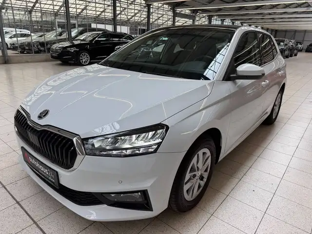Skoda Fabia view 3