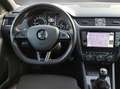 Skoda Octavia Combi RS 2.0 TSI ACC Panodach Blau - thumbnail 13