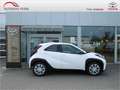 Toyota Aygo X 1.0 Business Edition SHZ KAMERA ACC Weiß - thumbnail 18