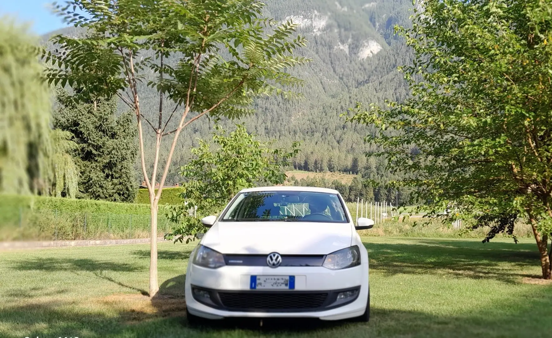 Volkswagen Polo Volkswagen Polo 1.2 TDI BlueMotion Bianco - 2