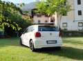 Volkswagen Polo Volkswagen Polo 1.2 TDI BlueMotion Bianco - thumbnail 3
