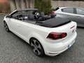 Volkswagen Golf Cabriolet Golf GTI Cabriolet 2.0 TSI DSG Blanc - thumbnail 6