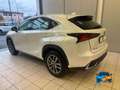 Lexus NX 300h 2.5 Business 2wd cvt Bianco - thumbnail 4