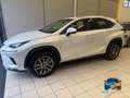 Lexus NX 300h 2.5 Business 2wd cvt Bianco - thumbnail 3