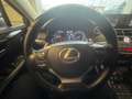 Lexus NX 300h 2.5 Business 2wd cvt Bianco - thumbnail 9