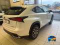 Lexus NX 300h 2.5 Business 2wd cvt Bianco - thumbnail 6