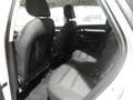 Audi Q3 AUDI Q3 2.0 TDI BUSINESS 120CV (2016) Weiß - thumbnail 14