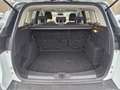 Ford Kuga Trend 1.6 EcoBoost Allwetter Blanc - thumbnail 17