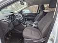 Ford Kuga Trend 1.6 EcoBoost Allwetter Blanc - thumbnail 13
