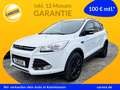 Ford Kuga Trend 1.6 EcoBoost Allwetter Blanc - thumbnail 1