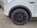 Ford Kuga Trend 1.6 EcoBoost Allwetter Blanc - thumbnail 18