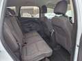 Ford Kuga Trend 1.6 EcoBoost Allwetter Blanc - thumbnail 15