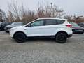 Ford Kuga Trend 1.6 EcoBoost Allwetter Blanc - thumbnail 8