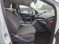 Ford Kuga Trend 1.6 EcoBoost Allwetter Blanc - thumbnail 14