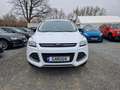 Ford Kuga Trend 1.6 EcoBoost Allwetter Blanc - thumbnail 4