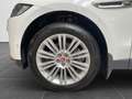 Jaguar F-Pace F-PACE Prestige AWD, ACC, Sthz, AHK, RFK Blanc - thumbnail 27