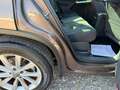 Volkswagen Tiguan 2,0 TDI 4Motion SKY DSG - AHK - PANORAMA - ALCA... Braun - thumbnail 12