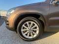 Volkswagen Tiguan 2,0 TDI 4Motion SKY DSG - AHK - PANORAMA - ALCA... Braun - thumbnail 4