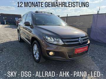 2,0 TDI 4Motion SKY DSG - AHK - PANORAMA - ALCA...