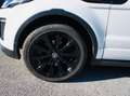 Land Rover Range Rover Evoque Cabriolet Mark IV TD4 180 BVA HSE Dynamic Blanc - thumbnail 15