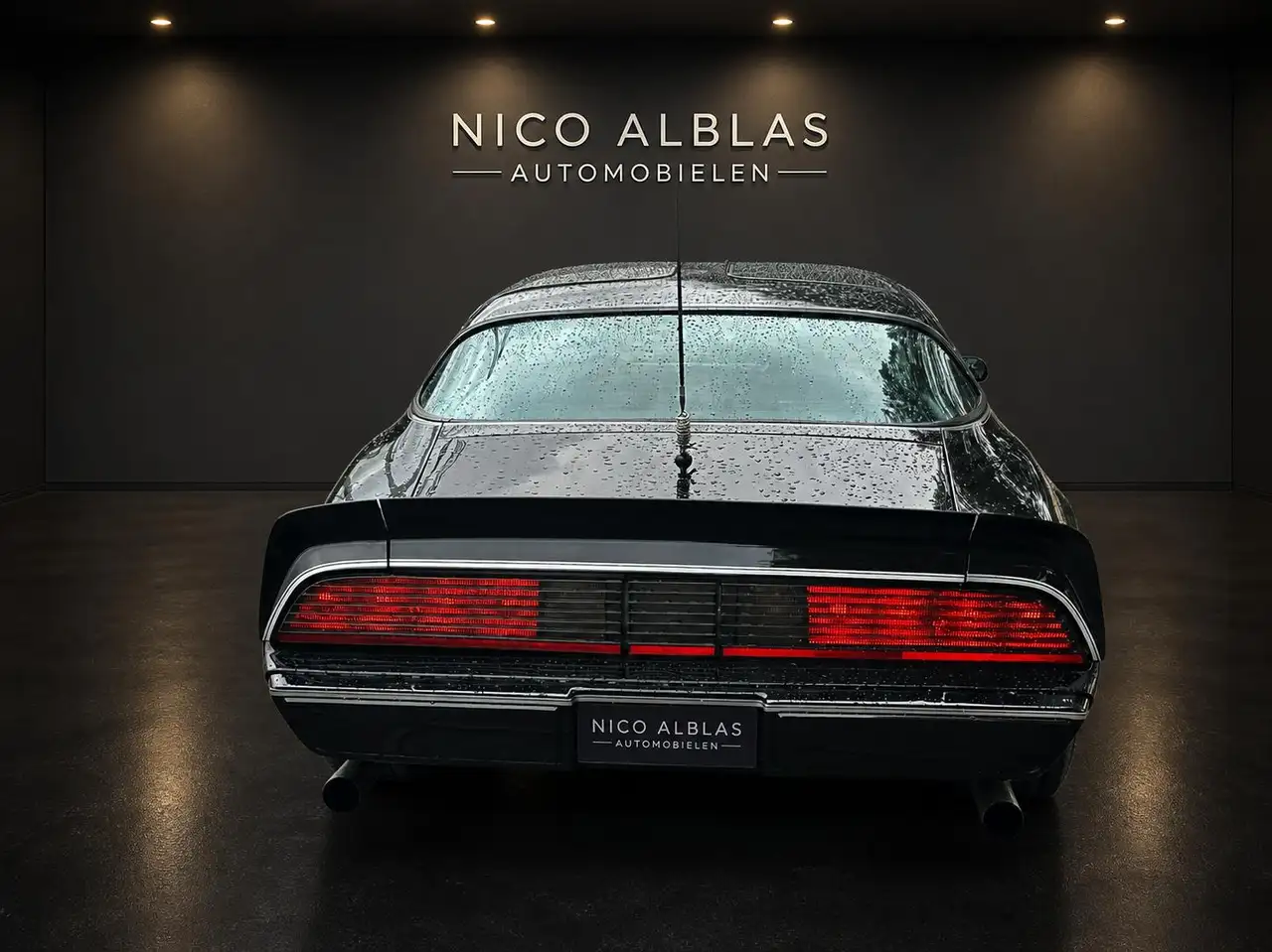 Pontiac Trans Am Firebird Targa, foto 6