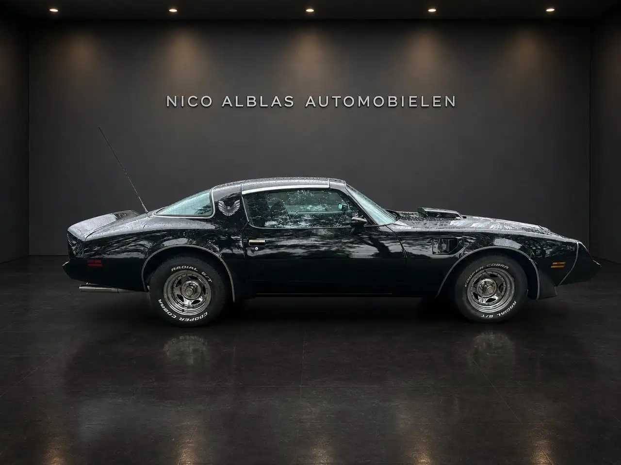 Pontiac Trans Am Firebird Targa, foto 2