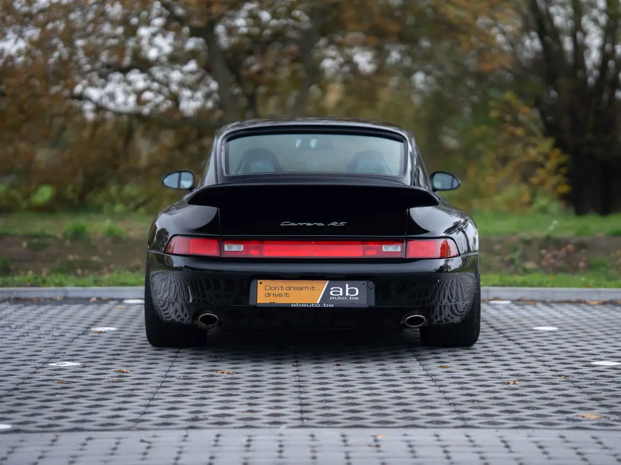 Porsche 993 Carrera RS 1/787 3.8L, foto 8