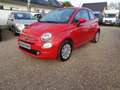 Fiat 500 Pop Star Rot - thumbnail 4
