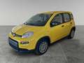 Fiat Panda Panda 1.0 firefly hybrid s Giallo - thumbnail 1