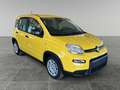 Fiat Panda Panda 1.0 firefly hybrid s Giallo - thumbnail 5