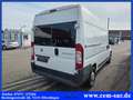 Fiat Ducato Hochr.-Kasten 35 150 *Automatik* - thumbnail 8