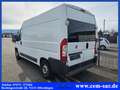 Fiat Ducato Hochr.-Kasten 35 150 *Automatik* - thumbnail 6