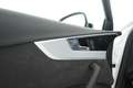 Audi RS4 Avant 2.9 tfsi quattro 450cv tiptronic TETTO PANO Blanc - thumbnail 43