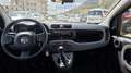 Fiat Panda Panda III 2021 1.0 firefly hybrid City Life s Grigio - thumbnail 12