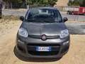 Fiat Panda Panda III 2021 1.0 firefly hybrid City Life s Grigio - thumbnail 1
