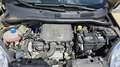 Fiat Panda Panda III 2021 1.0 firefly hybrid City Life s Grigio - thumbnail 14