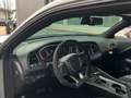 Dodge Challenger Hellcat Redeye Jailbreak Finanz.4.99% Gris - thumbnail 7