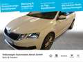 Skoda Octavia Combi 2.0TSI DSG SOLEIL NAVI AHK LED PDC Weiß - thumbnail 1