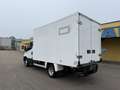 Iveco Daily 35 C13*Carrier Xarios 500*Tempomat*ASR*ESP Weiß - thumbnail 3