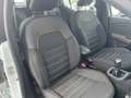 Dacia Sandero TCe Comfort 67kW Blanco - thumbnail 11
