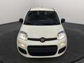 Fiat Panda Panda 1.0 hybrid Easy *KM0* Weiß - thumbnail 2