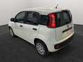 Fiat Panda Panda 1.0 hybrid Easy *KM0* Weiß - thumbnail 6