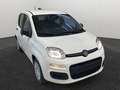 Fiat Panda Panda 1.0 hybrid Easy *KM0* Weiß - thumbnail 3