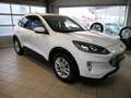 Ford Kuga 2,0 EcoBlue Titanium Aut. Weiß - thumbnail 2